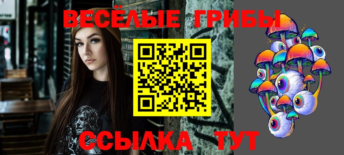 Галлюциногенные грибы Cubensis  Вход с VPN  Омск  Галлюциногенные грибы MAGIC MUSHROOMS 
